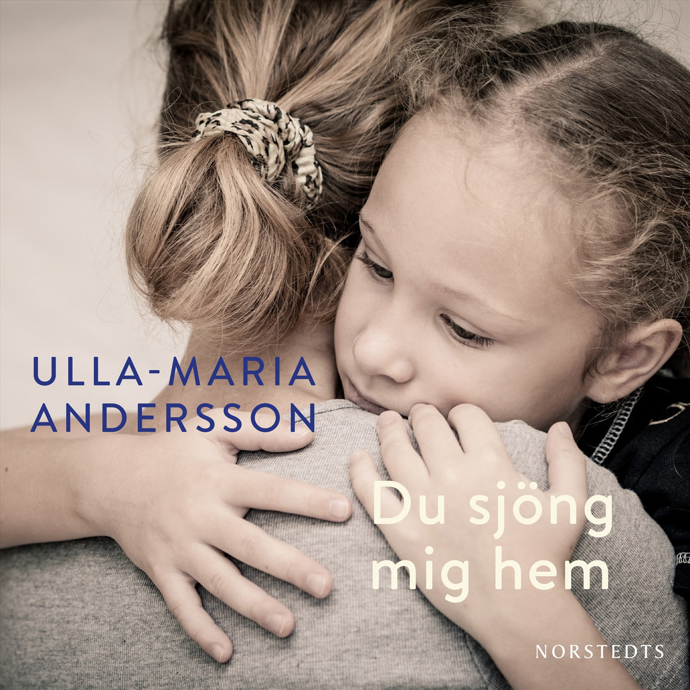 Du sjöng mig hem – Ljudbok