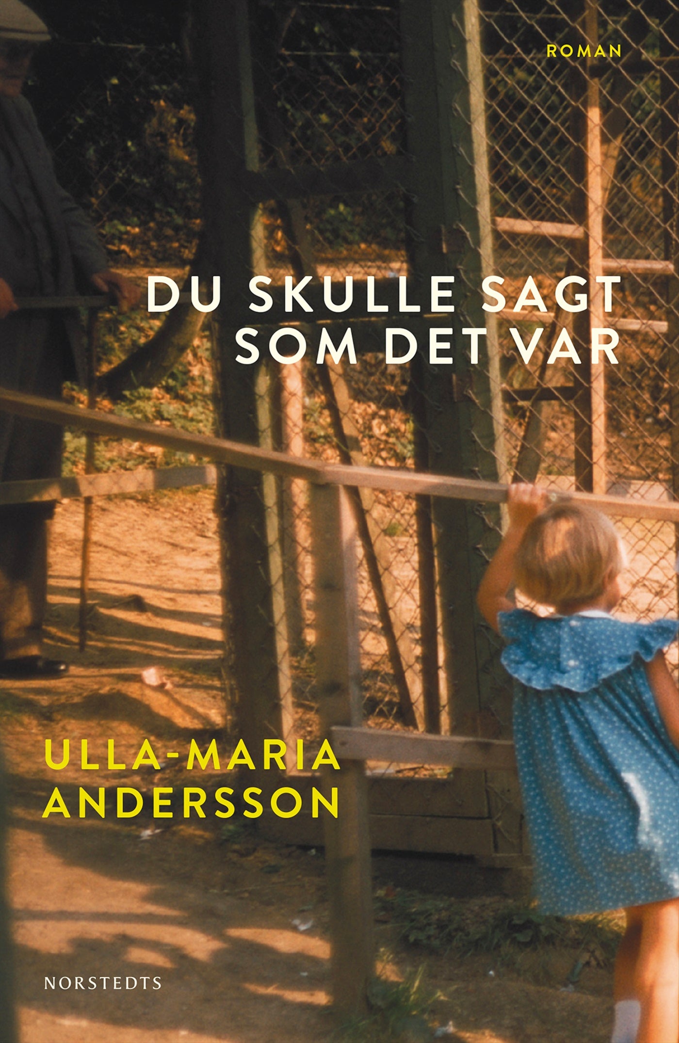 Du skulle sagt som det var – E-bok