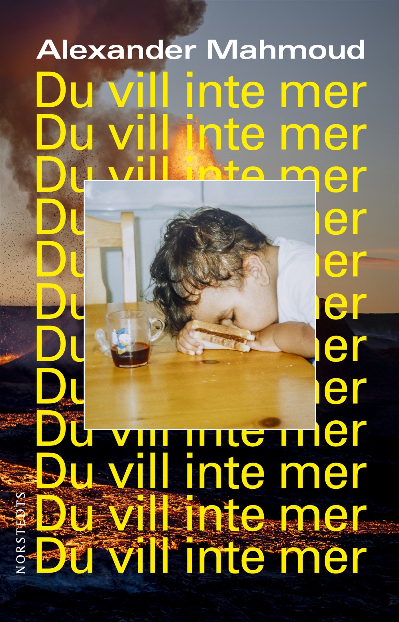 Du vill inte mer – E-bok