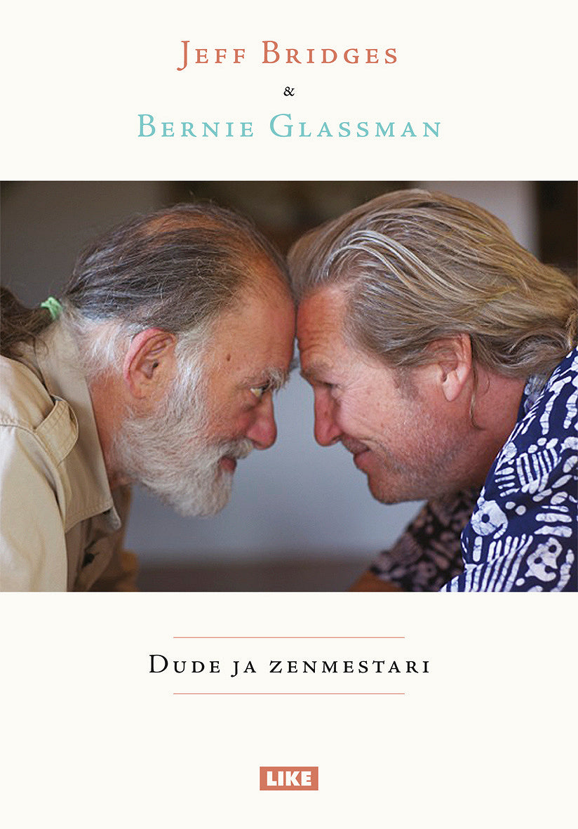Dude ja zenmestari – E-bok