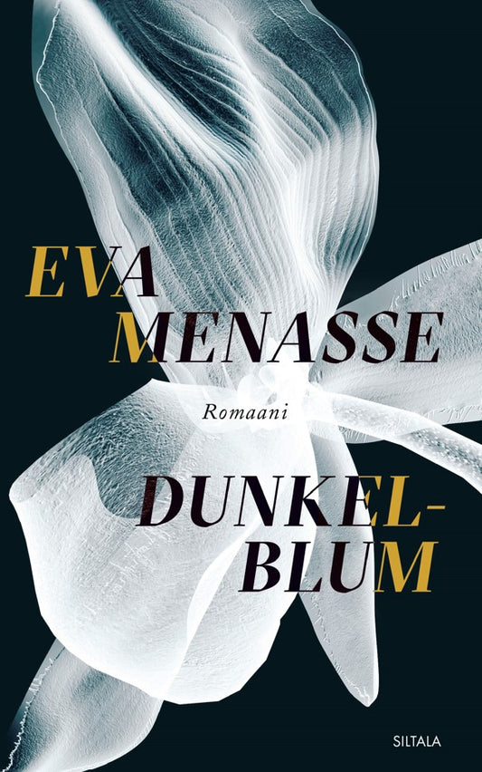Dunkelblum – E-bok