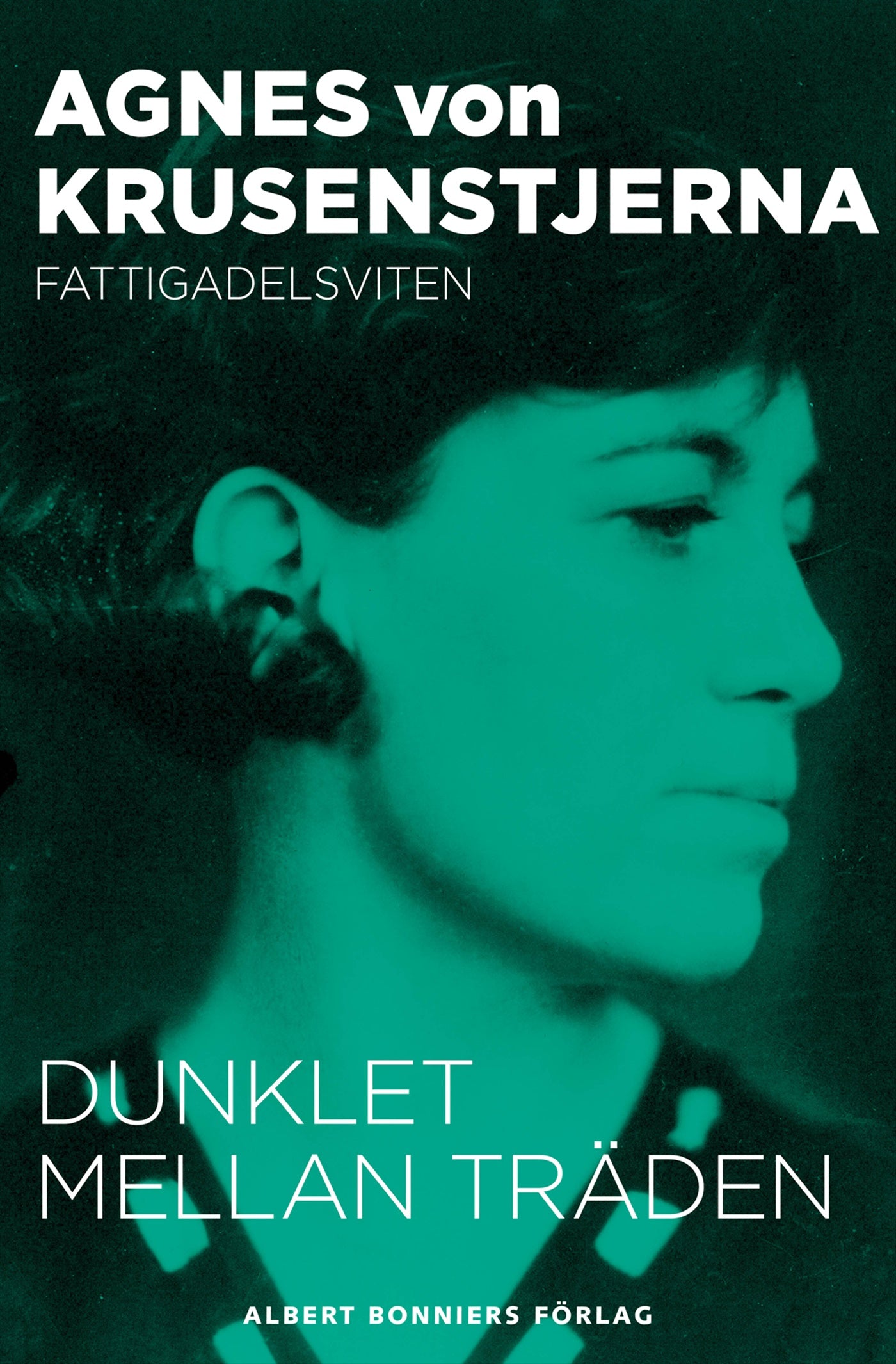Dunklet mellan träden – E-bok