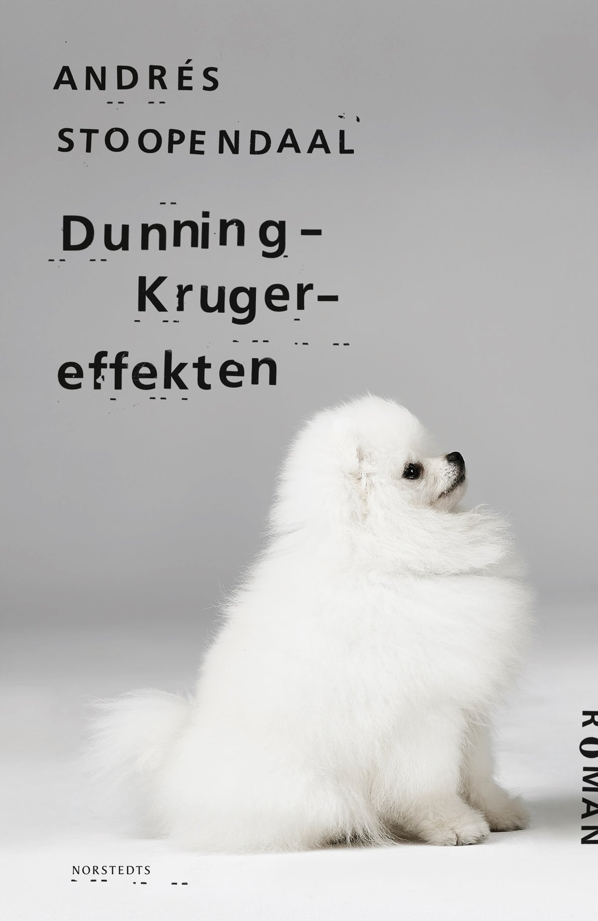 Dunning-Kruger-effekten – E-bok