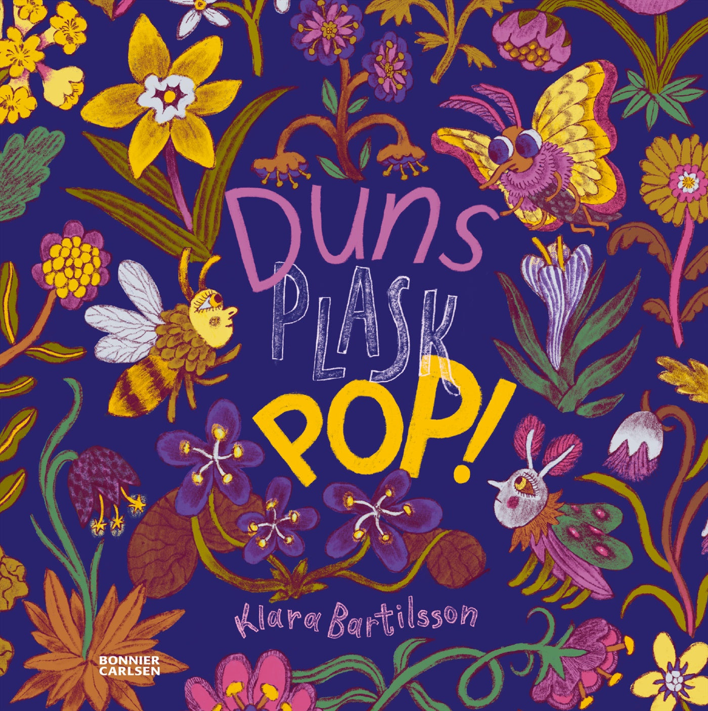 Duns Plask Pop – E-bok