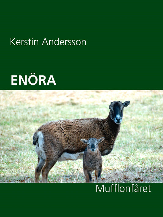 ENÖRA: Mufflonfåret – E-bok