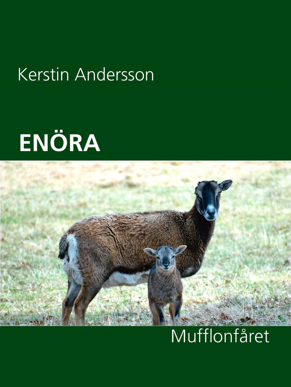 ENÖRA: Mufflonfåret – E-bok