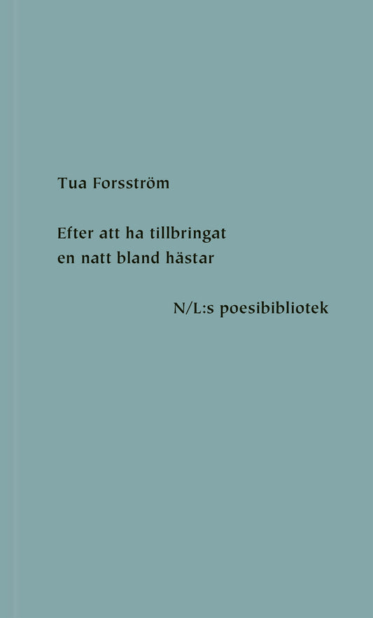 Efter att ha tillbringat en natt bland hästar – E-bok