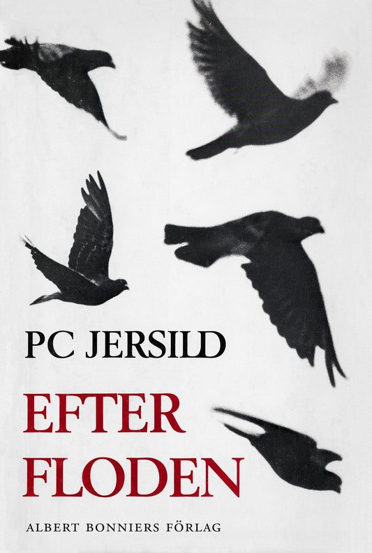 Efter floden – E-bok