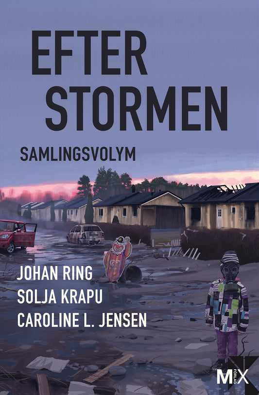 Efter stormen – E-bok