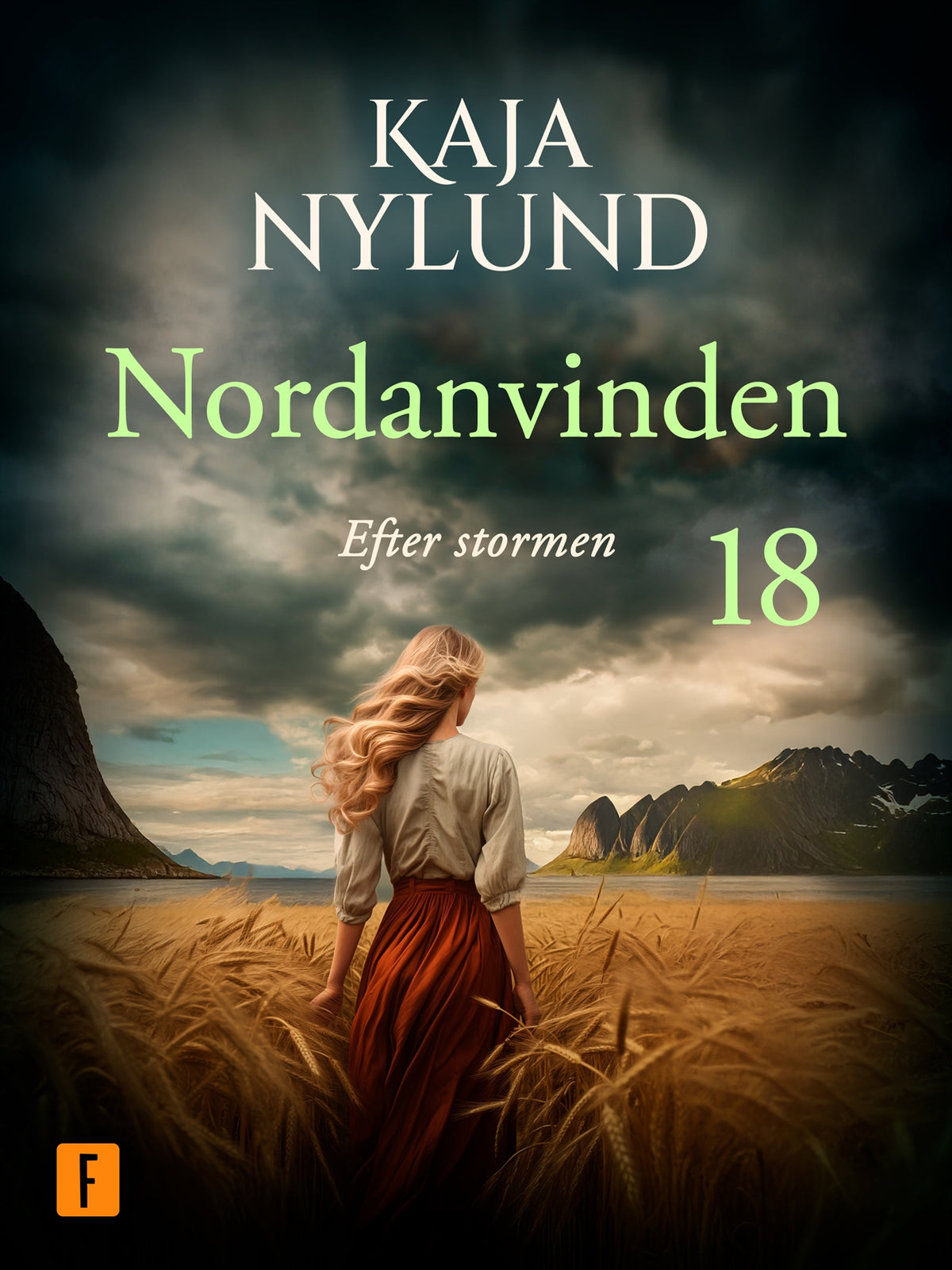 Efter stormen – E-bok