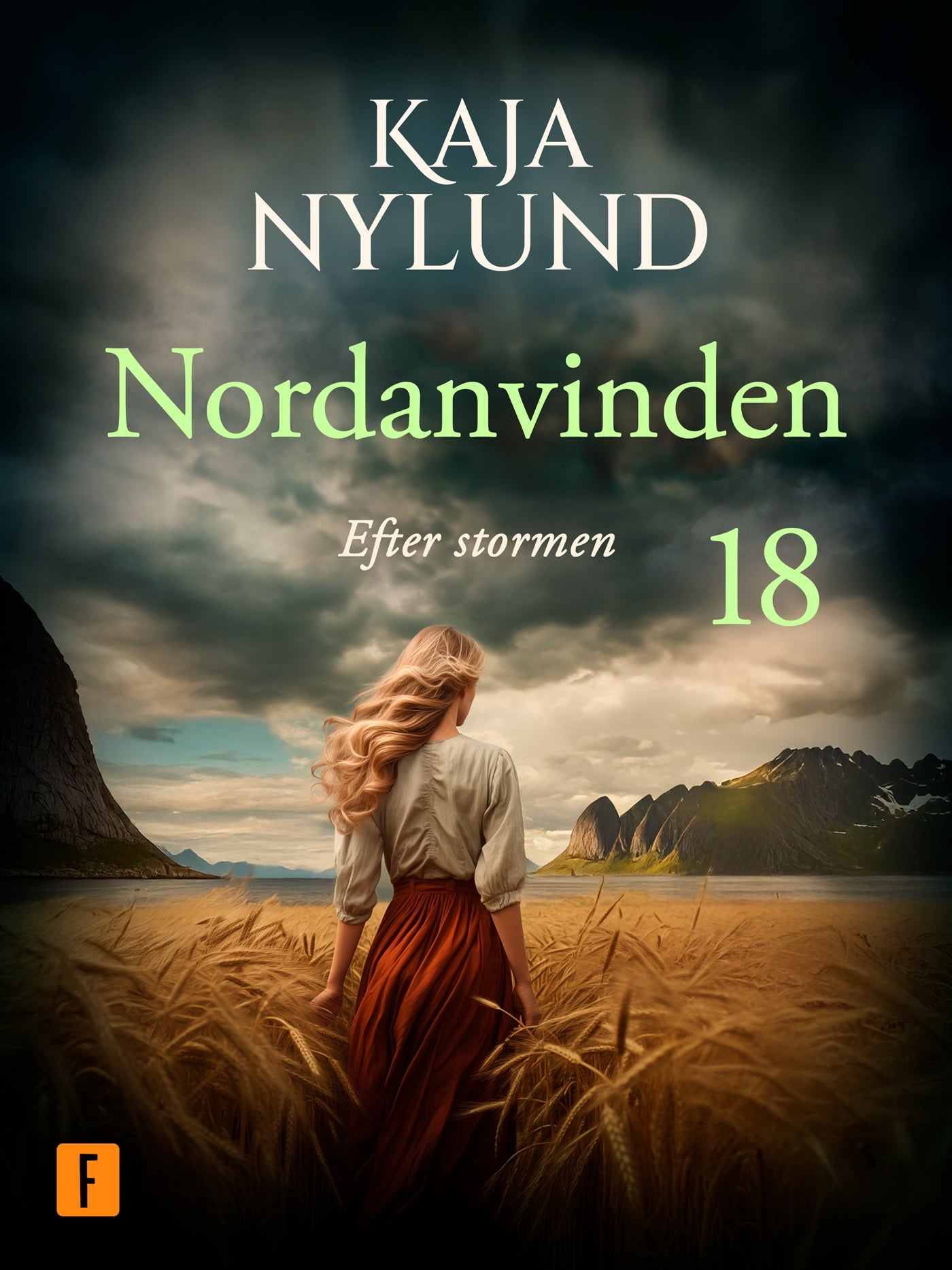 Efter stormen – E-bok