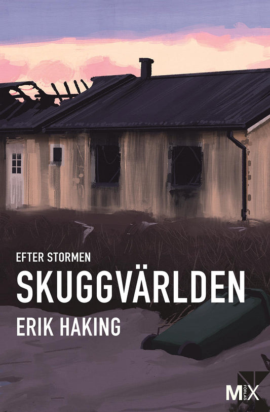 Efter stormen. Skuggvärlden  – E-bok