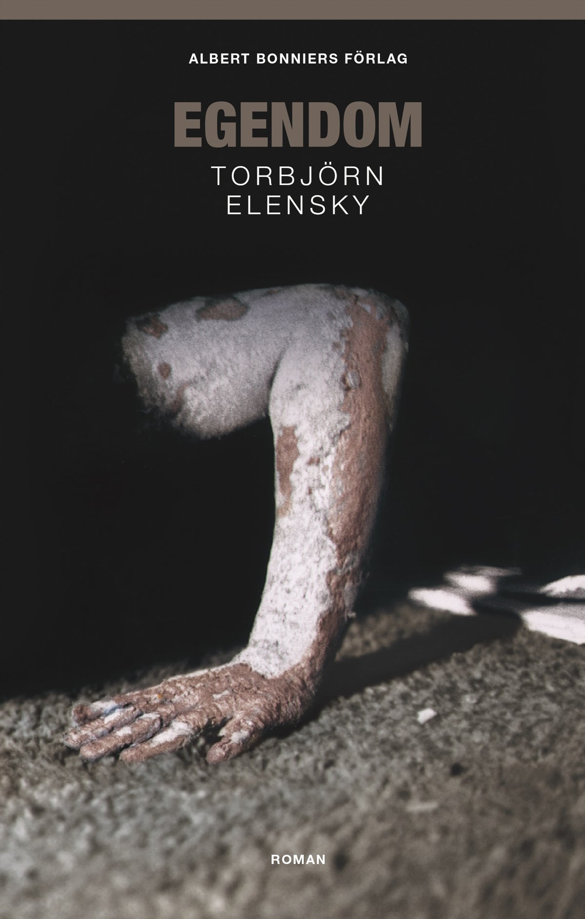 Egendom – E-bok
