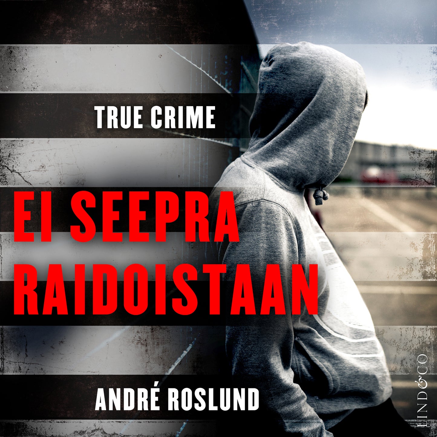 Ei seepra raidoistaan – E-bok