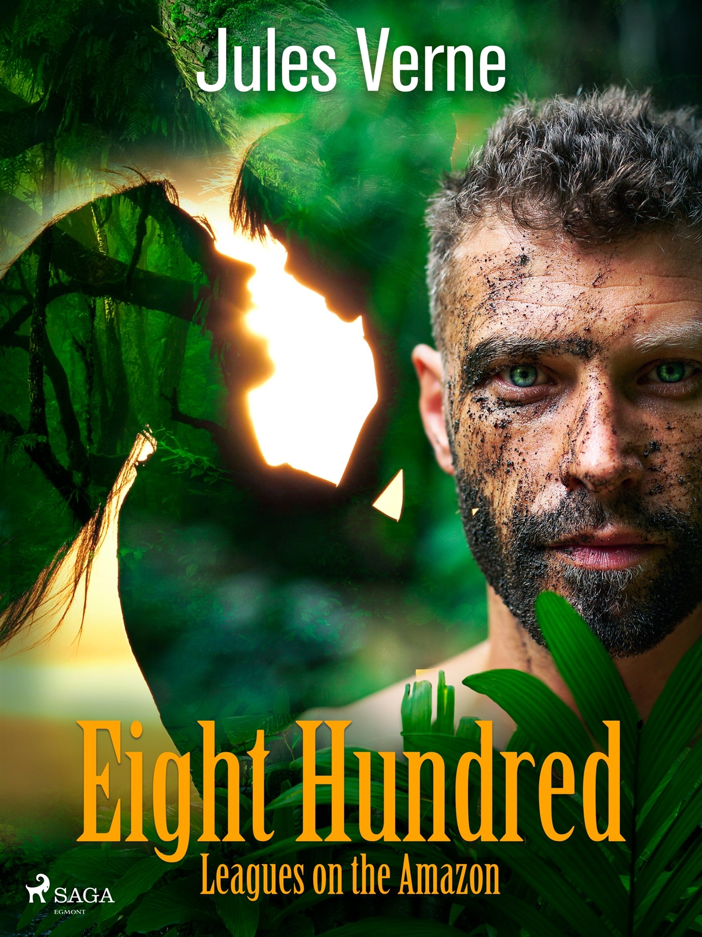 Eight Hundred Leagues on the Amazon – E-bok