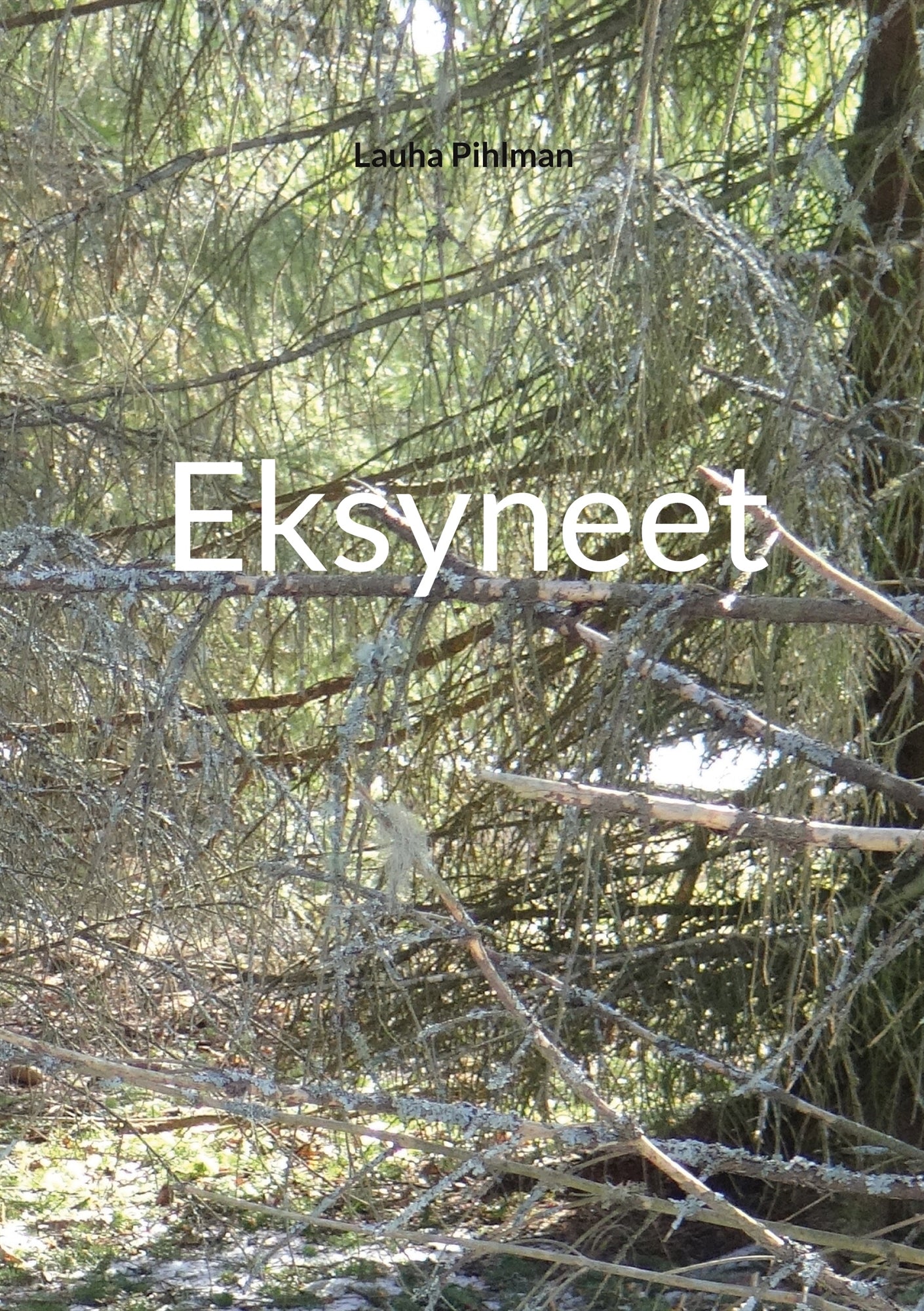 Eksyneet – E-bok