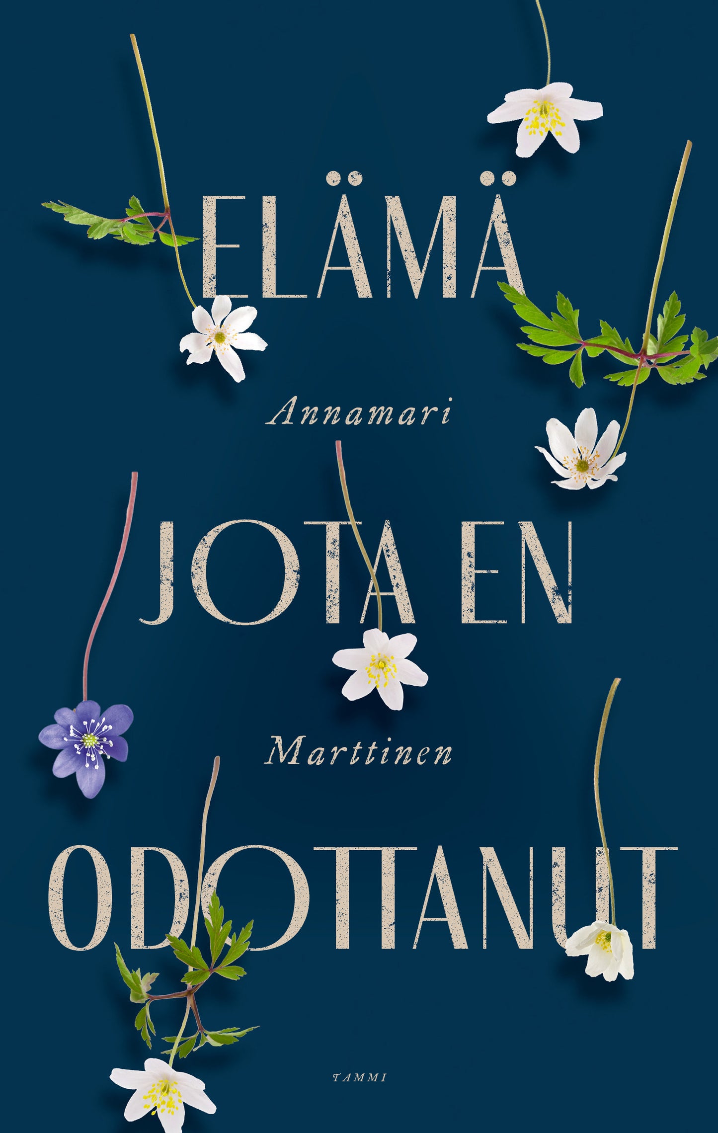 Elämä jota en odottanut – E-bok