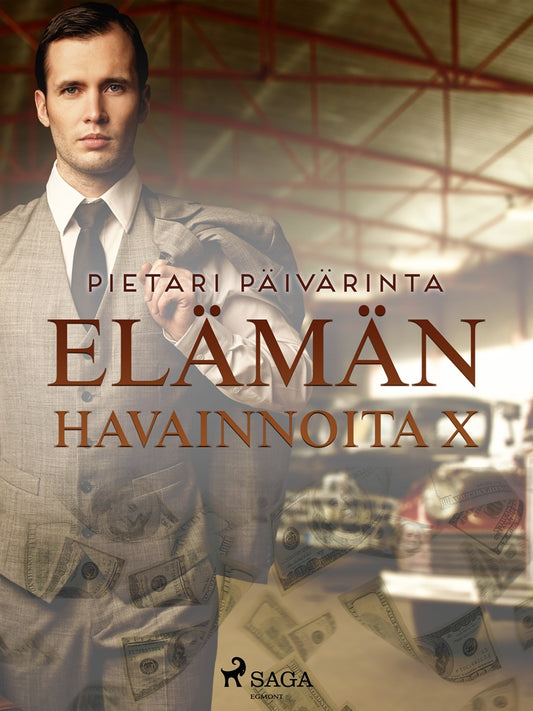 Elämän havainnoita X – E-bok