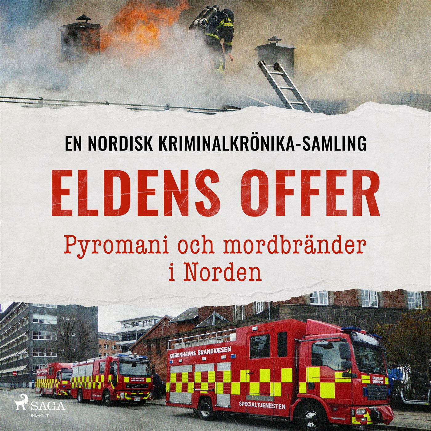 Eldens offer – Pyromani och mordbränder i Norden – Ljudbok
