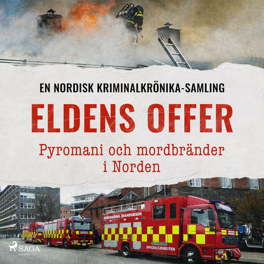 Eldens offer – Pyromani och mordbränder i Norden – Ljudbok