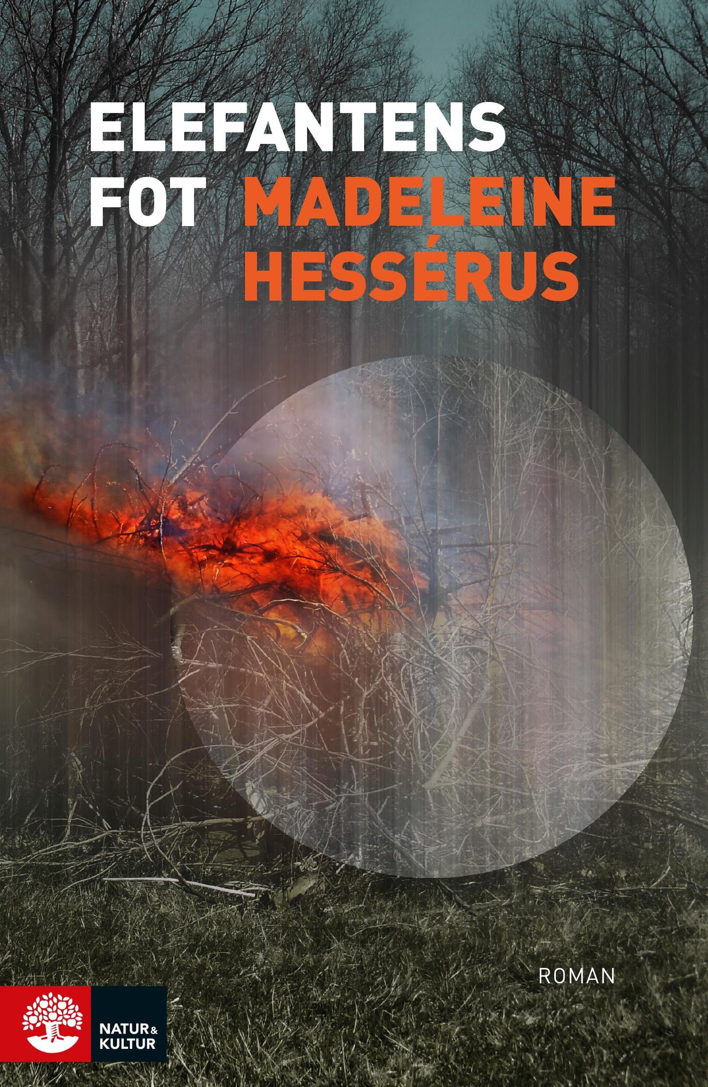 Elefantens fot – E-bok