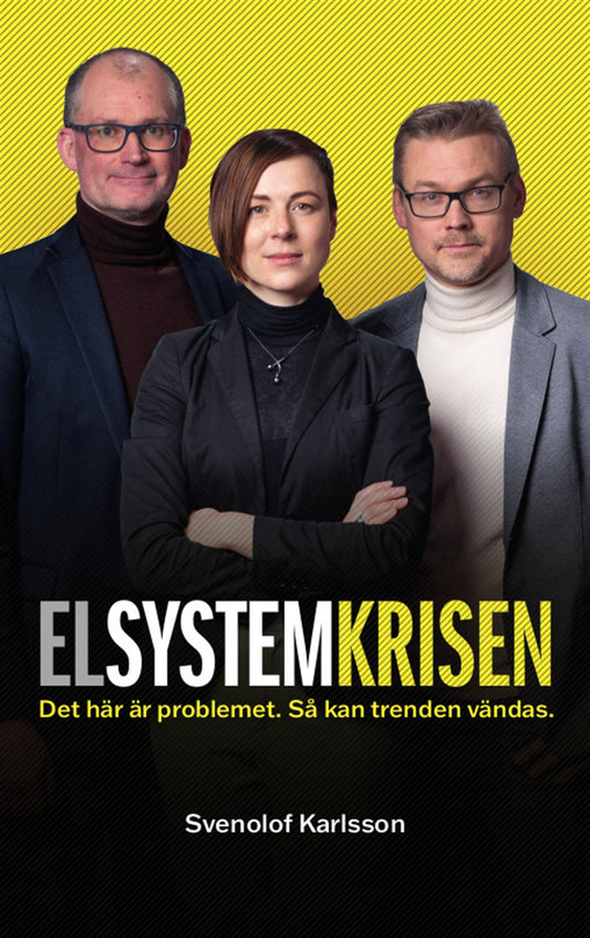 Elsystemkrisen – E-bok