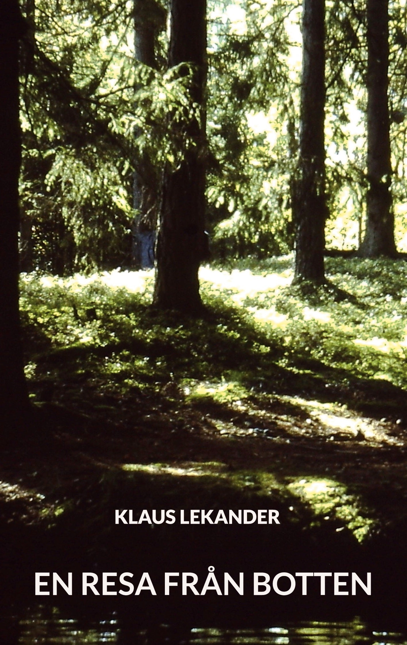 En Resa Från Botten – E-bok