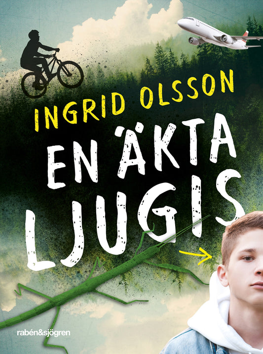 En äkta ljugis – E-bok