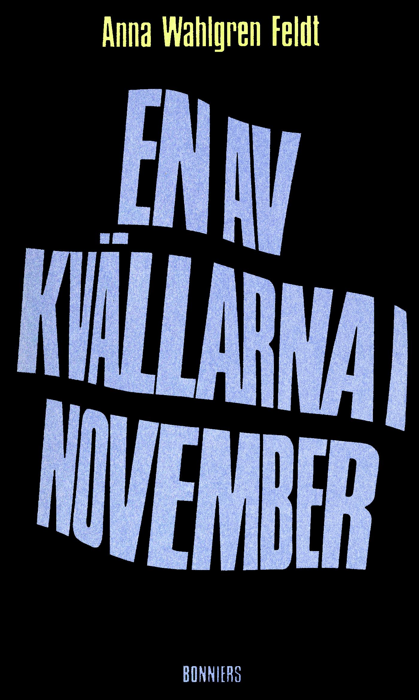 En av kvällarna i november : Noveller – E-bok