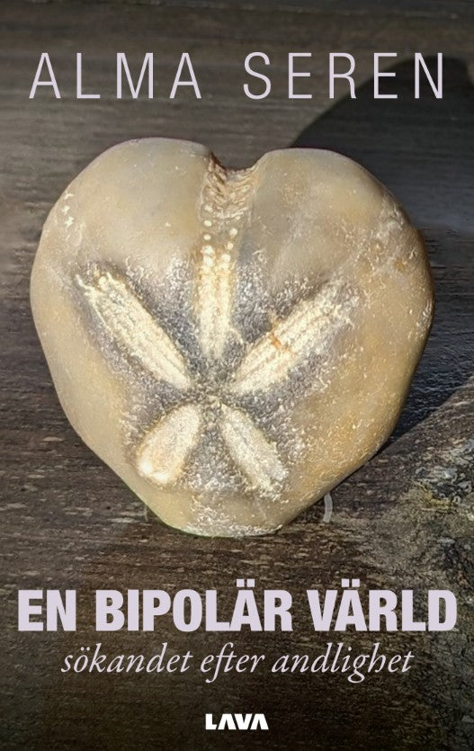 En bipolär värld : sökandet efter andlighet – E-bok
