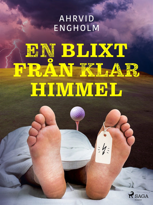 En blixt från klar himmel – E-bok