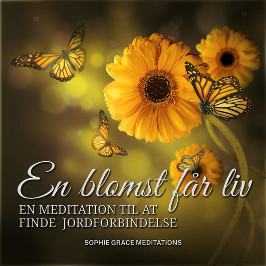 En blomst får liv. En meditation til at finde jordforbindelse – Ljudbok