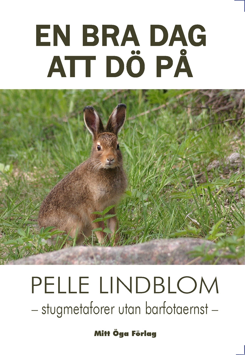 En bra dag att dö på – E-bok