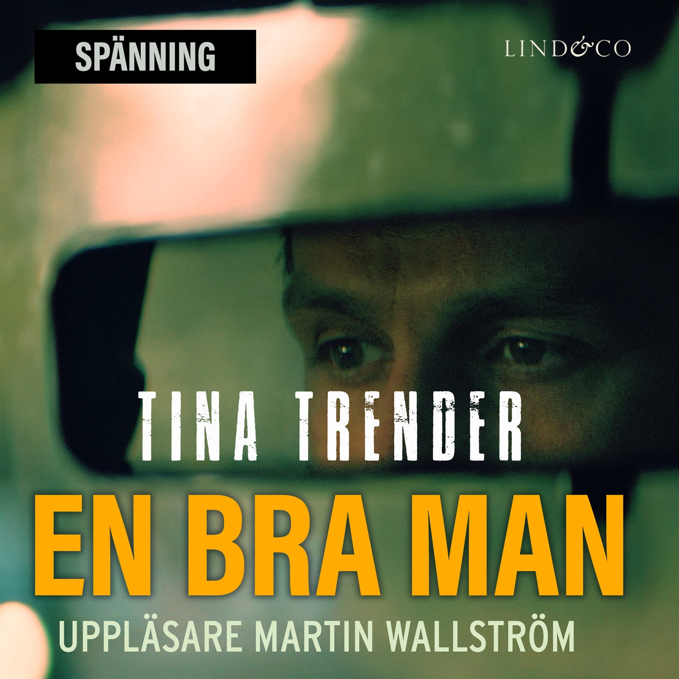 En bra man – Ljudbok