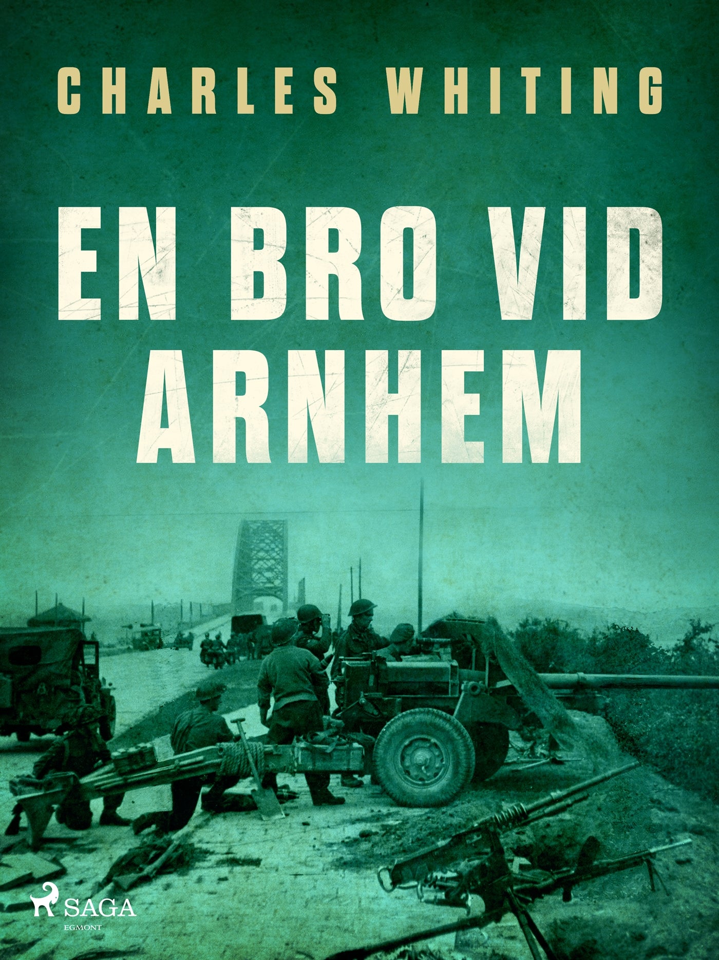 En bro vid Arnhem – E-bok