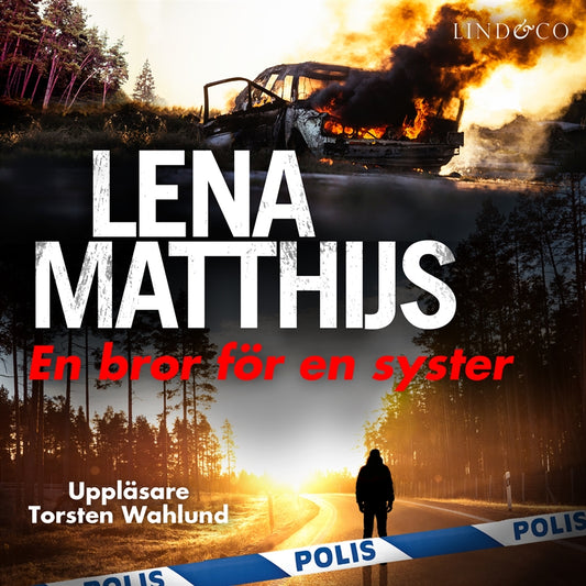 En bror för en syster – Ljudbok