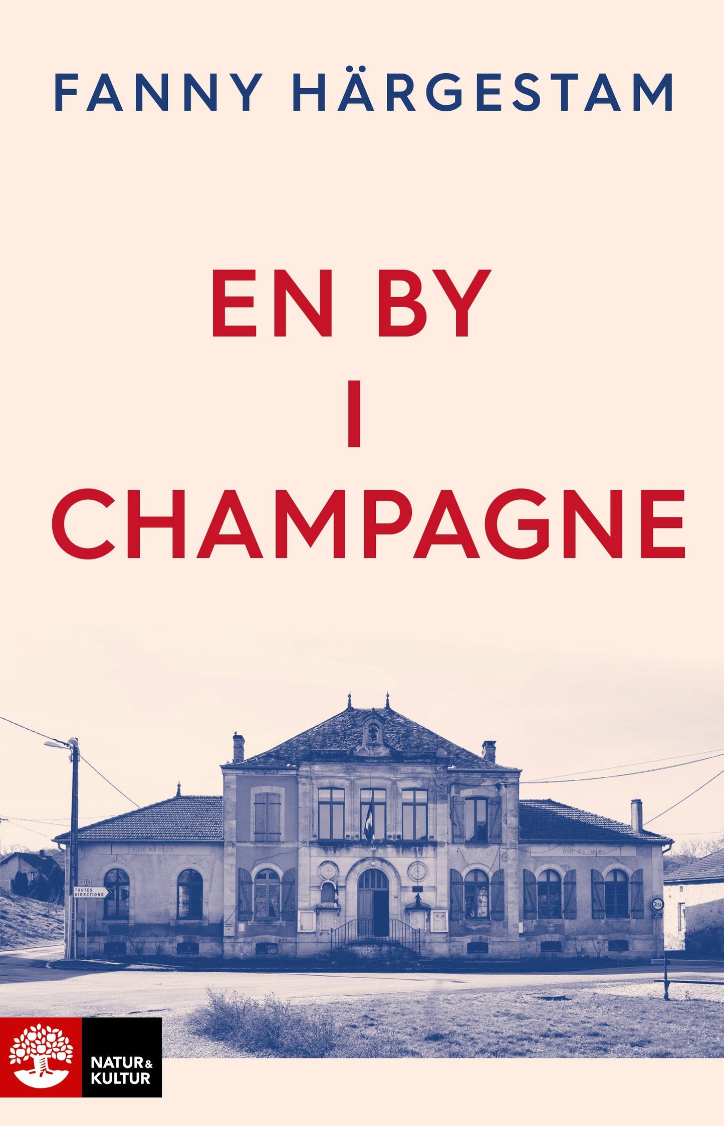 En by i Champagne – E-bok