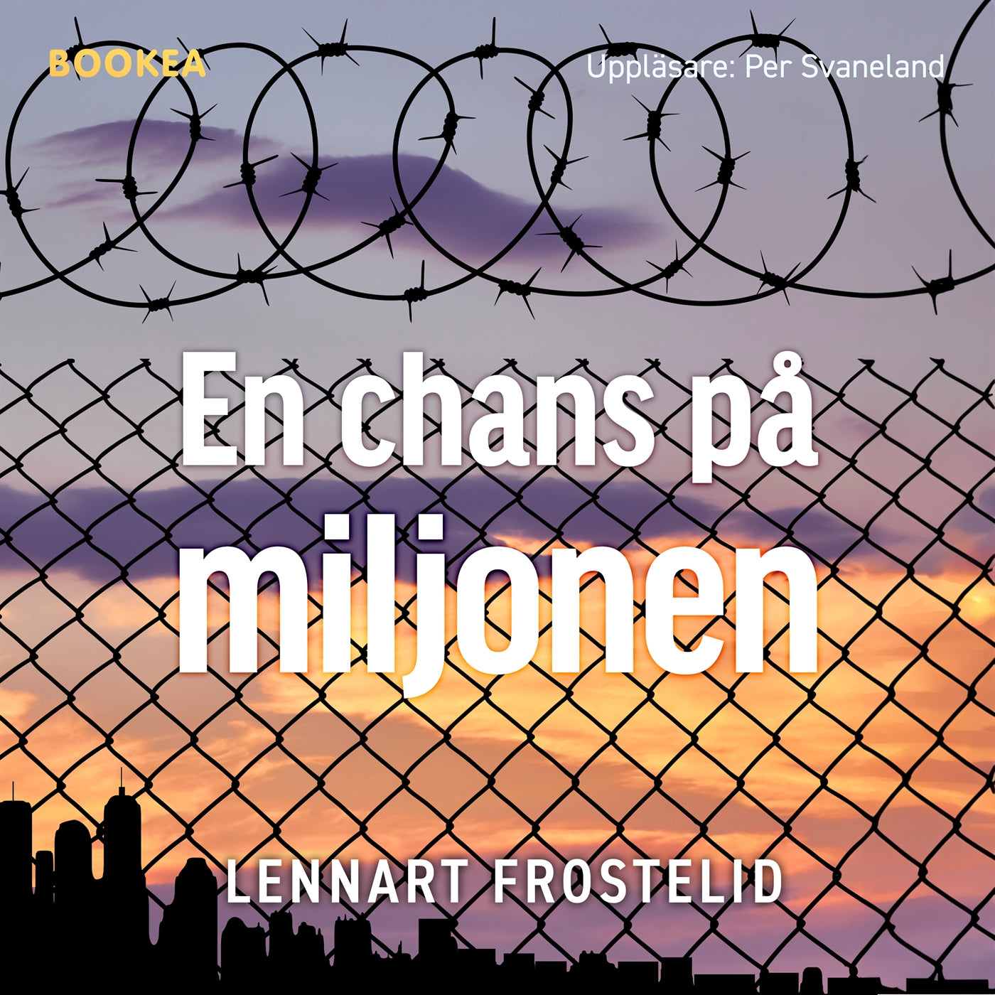 En chans på miljonen – Ljudbok
