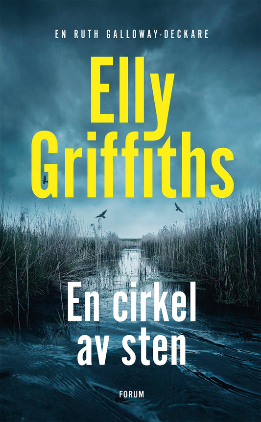En cirkel av sten – E-bok