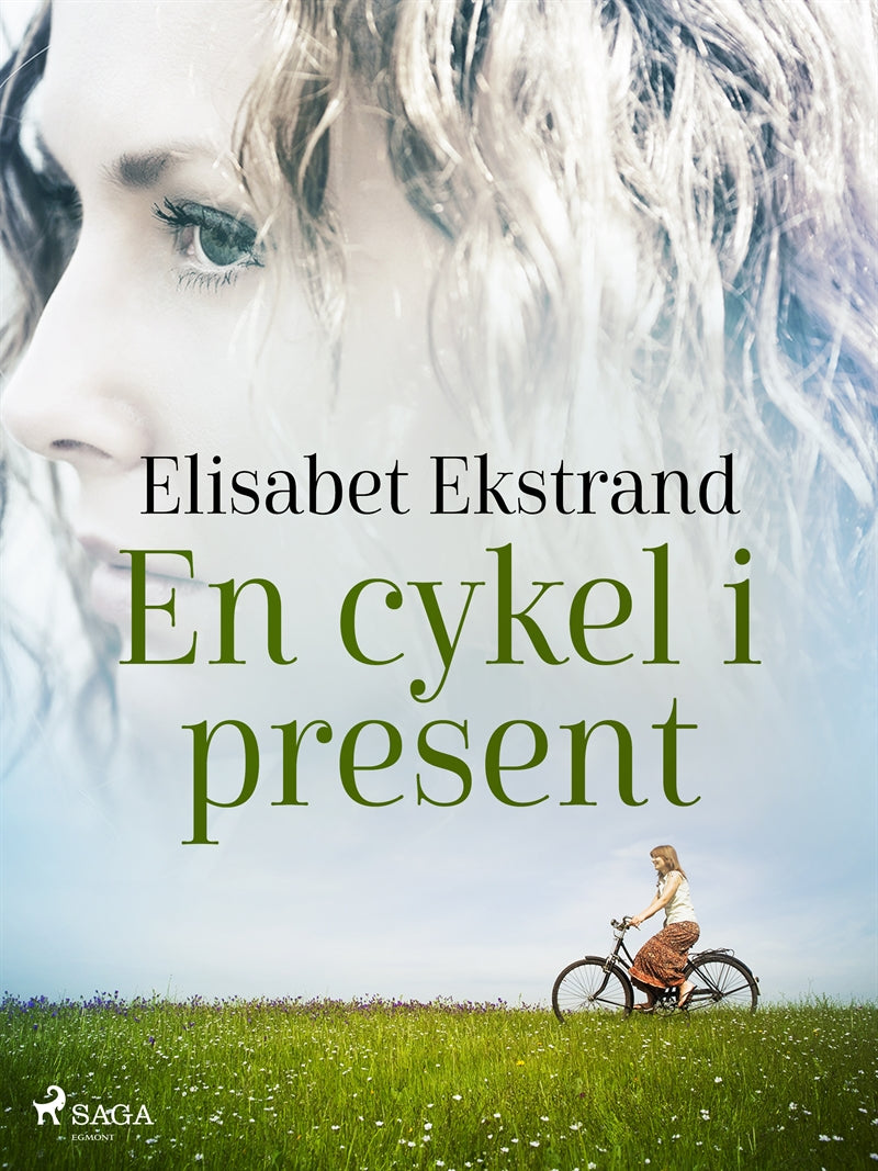 En cykel i present – E-bok