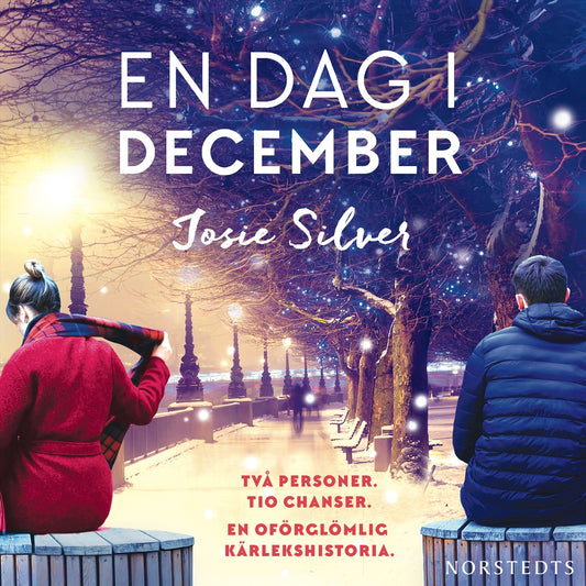 En dag i december – Ljudbok