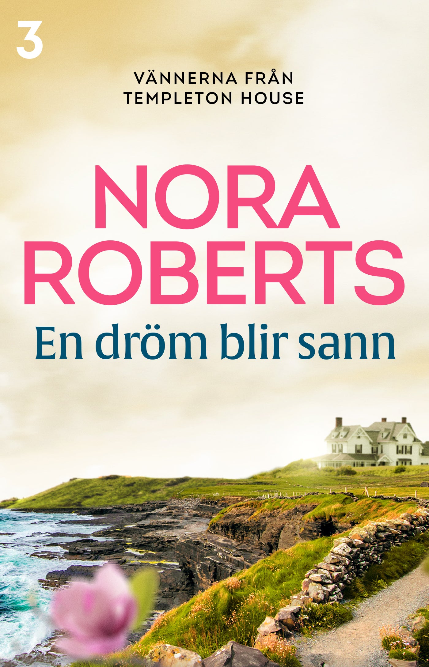 En dröm blir sann – E-bok