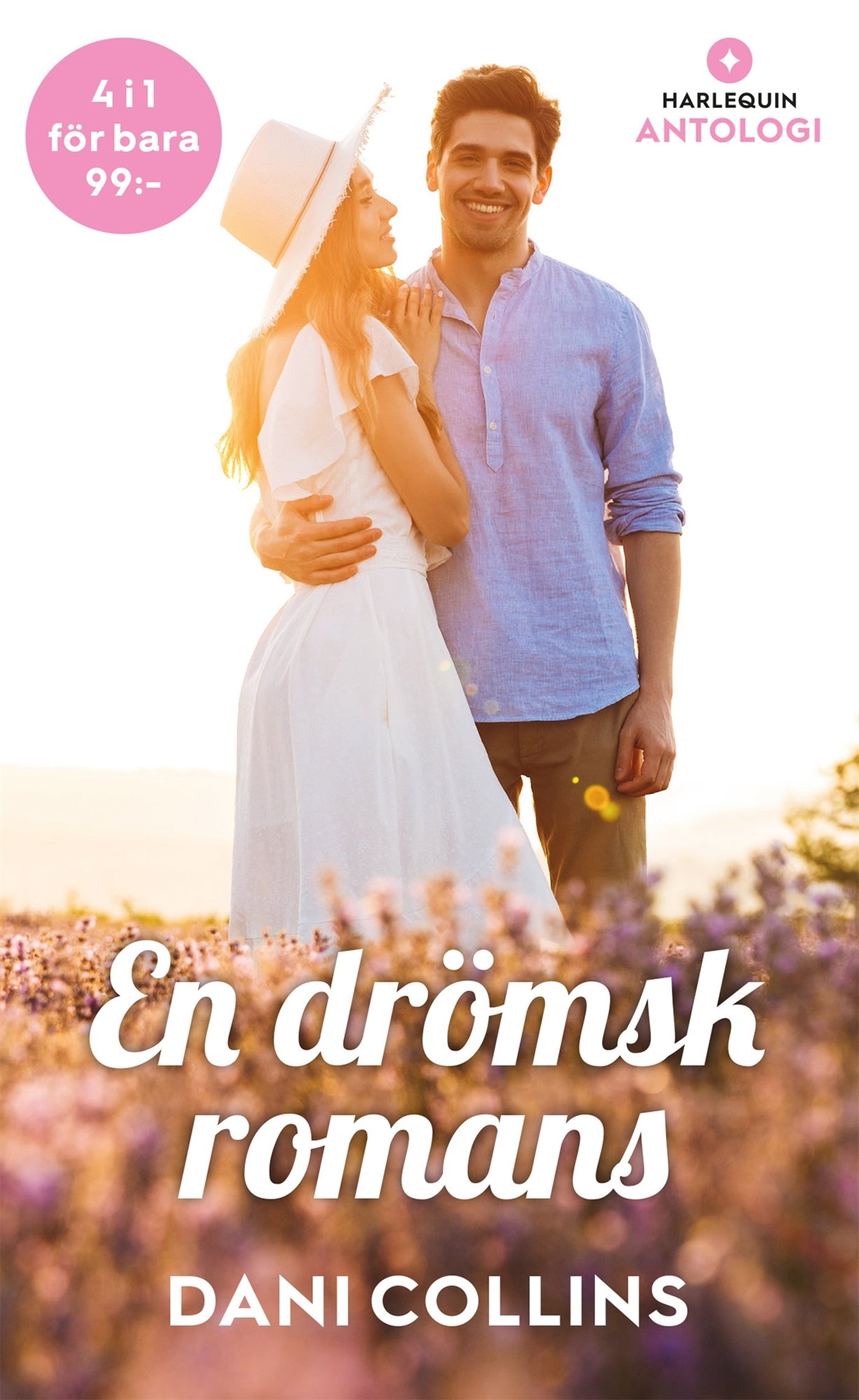 En drömsk romans – E-bok