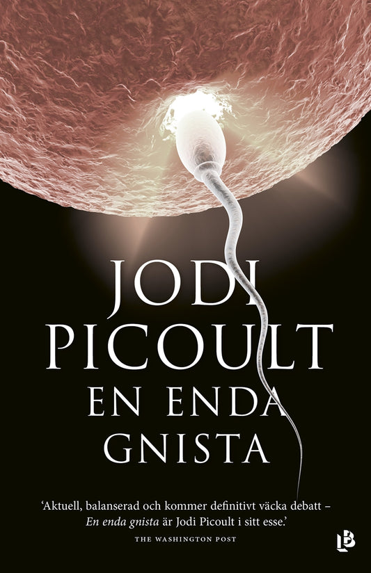 En enda gnista – E-bok