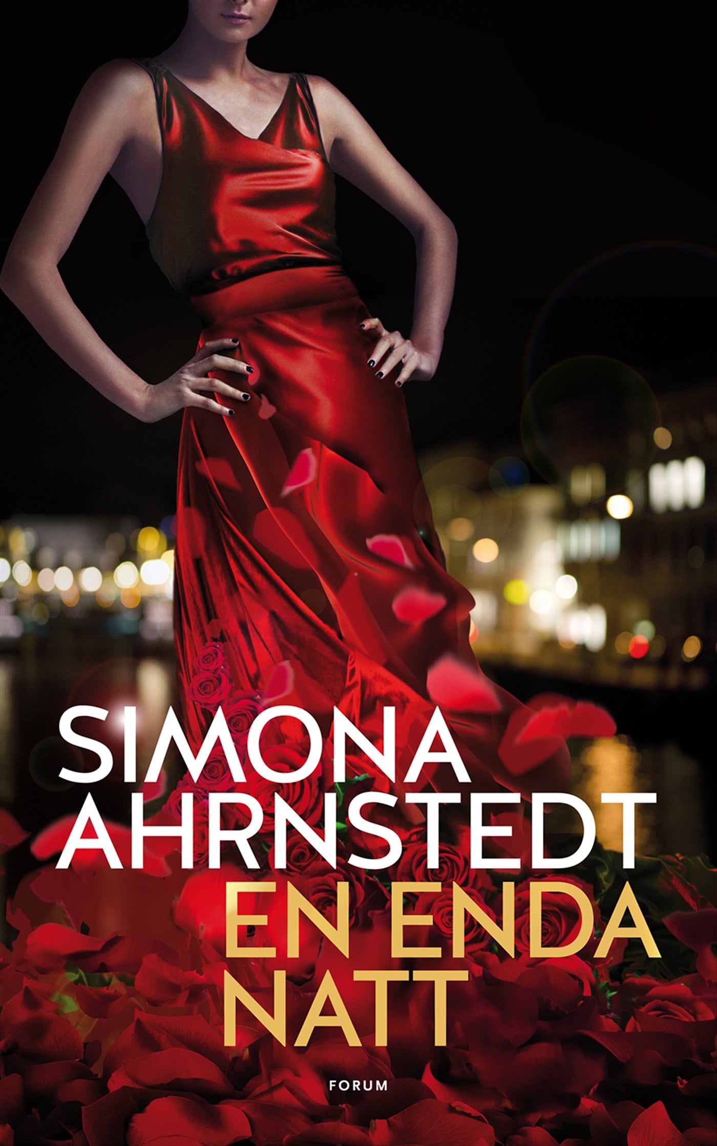 En enda natt – E-bok