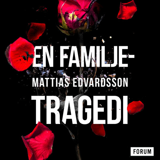 En familjetragedi – Ljudbok