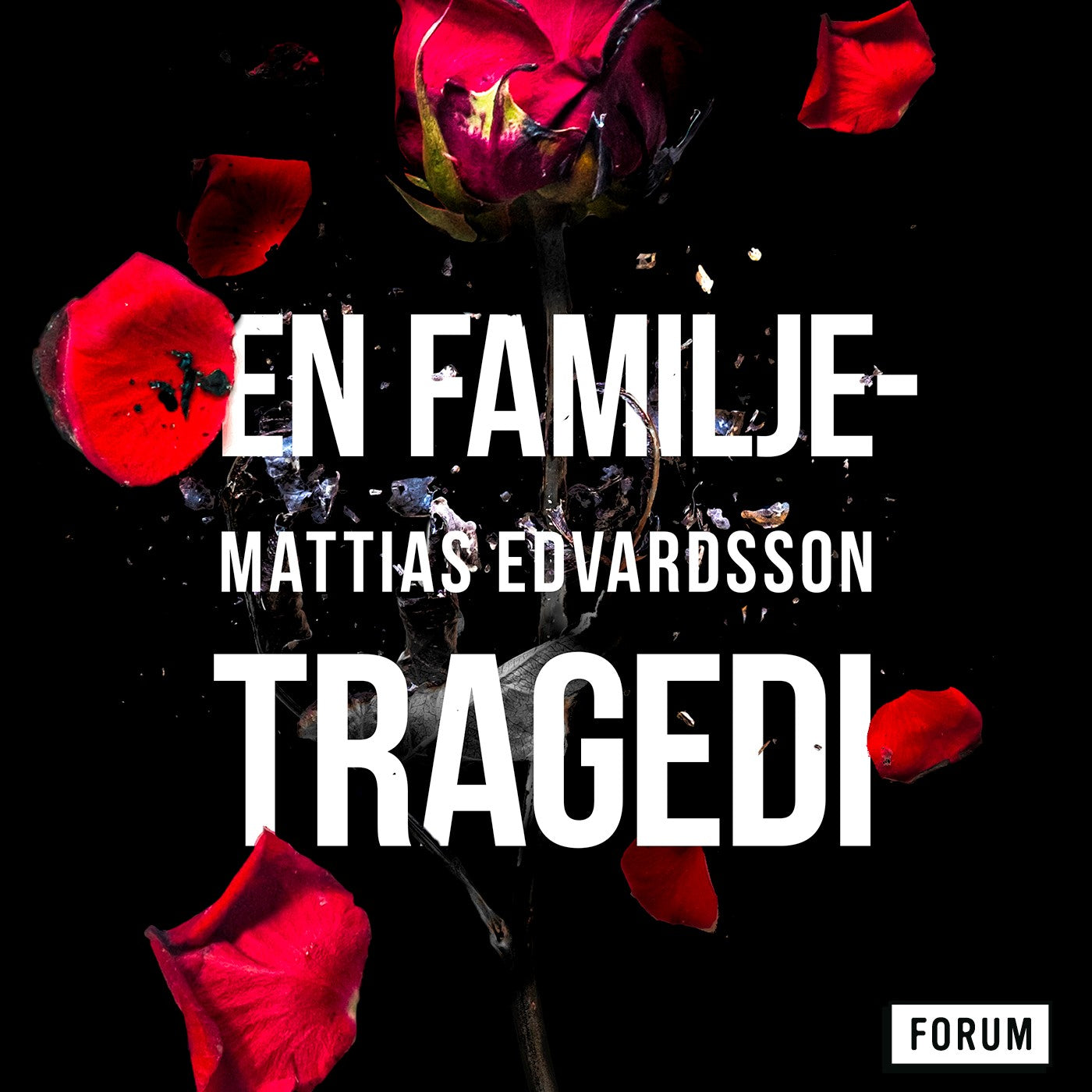 En familjetragedi – Ljudbok