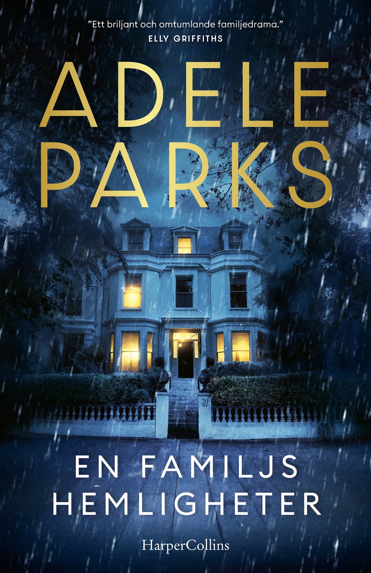 En familjs hemligheter – E-bok