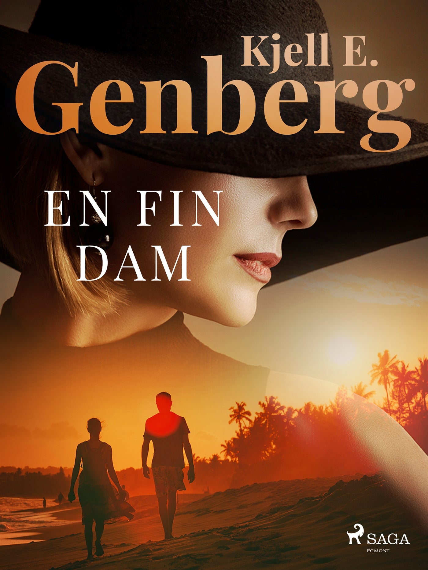 En fin dam – E-bok