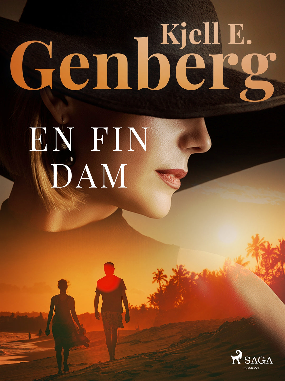 En fin dam – E-bok